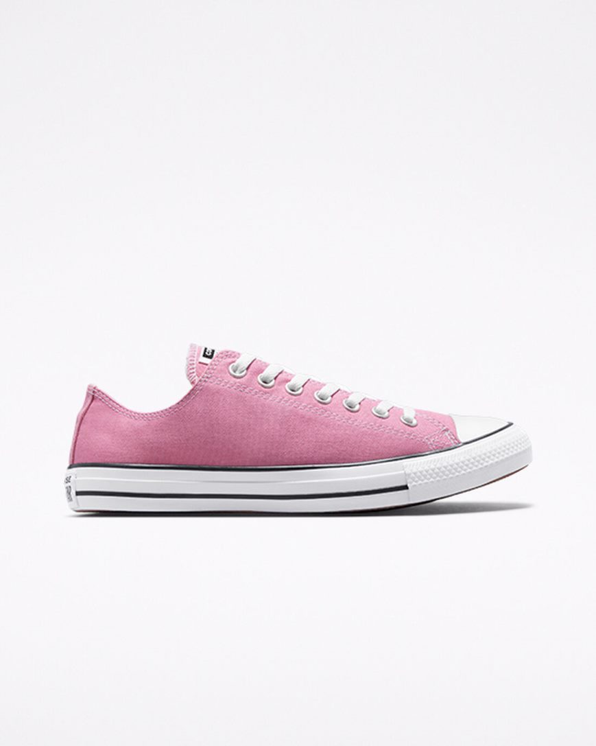 Dámské Boty Nízké Converse Chuck Taylor All Star Seasonal Color Růžové | CZ GHBF83